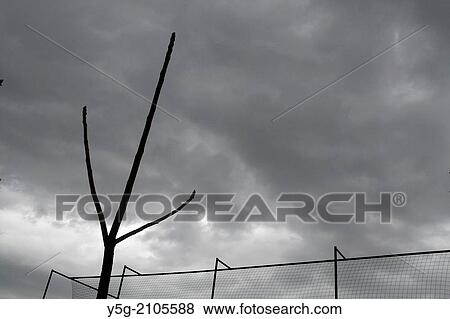 Stock Photo - high fence and bare tree branches with dark sky. Fotosearch