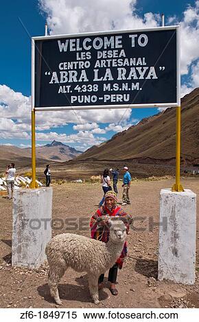 High peak at 13, 000 feet of La Raya Peru with young boy with llama portrait View Large Photo Image Stock Photography - High peak at 13, 000 feet of La Raya Peru with young boy with llama portrait. Fotosearch