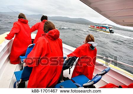 High speed boat cruise near Bruny Island with Pennicot Wilderness Journeys Tasmania, Australia View Large Photo Image Stock Photo - High speed boat cruise near Bruny Island with Pennicot Wilderness Journeys Tasmania, Australia. Fotosearch