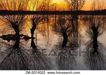 High waters. Spring. Biebrza National Park. Poland. View Large Photo Image Stock Image - High waters. Spring. Biebrza National Park. Poland.. Fotosearch