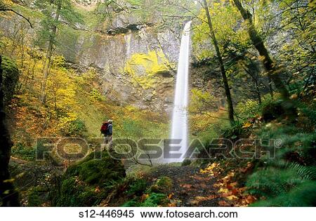 Hiker and Elowah Falls. Columbia River Gorge. Oregon. USA. View Large Photo Image Stock Photography - Hiker and Elowah Falls. Columbia River Gorge. Oregon. USA.. Fotosearch