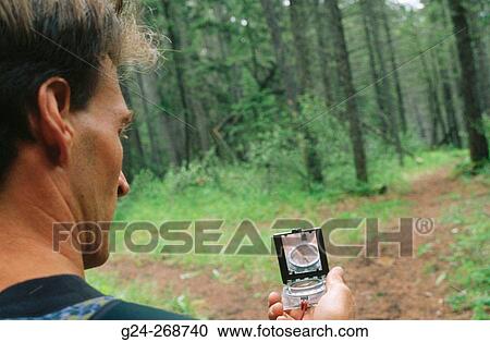 Hiker checking compass at fork in a trail View Large Photo Image Stock Image - Hiker checking compass at fork in a trail. Fotosearch