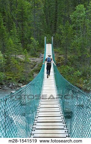 Stock Photo - Hiker crossing suspension bridge on the Berg Lake Trail, Mount Robson Provincial Park British Columbia Canada. Fotosearch