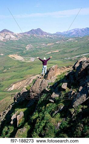 Stock Image - Hiker. Denali National Park. Alaska. USA. Fotosearch