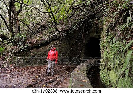 hiker in a tunnel of the levada aqueduct of Green Cauldron Caldeirao Verde, Madeira island, Atlantic Ocean, Portugal View Large Photo Image Stock Photo - hiker in a tunnel of the levada aqueduct of Green Cauldron Caldeirao Verde, Madeira island, Atlantic Ocean, Portugal. Fotosearch