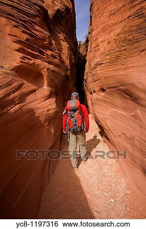 Hiker in the Navajo Sandstone narrows of Buckskin Gulch in the Paria Canyons - Vermilion Cliffs Wilderness Area, Utah View Large Photo Image Stock Photograph - Hiker in the Navajo Sandstone narrows of Buckskin Gulch in the Paria Canyons - Vermilion Cliffs Wilderness Area, Utah. Fotosearch