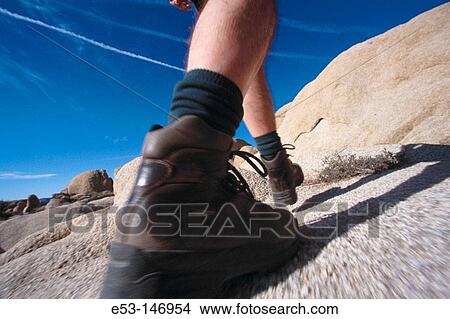 Hiker. Joshua Tree National Park. California. USA View Large Photo Image Picture - Hiker. Joshua Tree National Park. California. USA. Fotosearch