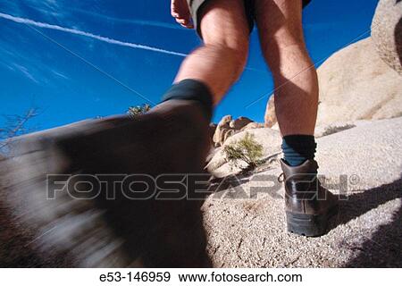 Hiker. Joshua Tree National Park. California. USA View Large Photo Image Stock Photo - Hiker. Joshua Tree National Park. California. USA. Fotosearch
