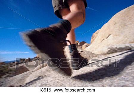 Hiker. Joshua Tree National Park. California. USA View Large Photo Image Stock Photography - Hiker. Joshua Tree National Park. California. USA. Fotosearch