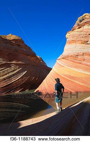Hiker next to Seasonal desert pool of water below striated sandstone at The Wave, Coyote Buttes, Paria Canyon Vermilion Cliffs Wilderness, Arizona View Large Photo Image Stock Image - Hiker next to Seasonal desert pool of water below striated sandstone at The Wave, Coyote Buttes, Paria Canyon Vermilion Cliffs Wilderness, Arizona. Fotosearch
