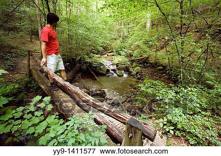 Hiker on Coontree Trail - Pisgah National Forest, near Brevard, North Carolina, USA View Large Photo Image Stock Photo - Hiker on Coontree Trail - Pisgah National Forest, near Brevard, North Carolina, USA. Fotosearch