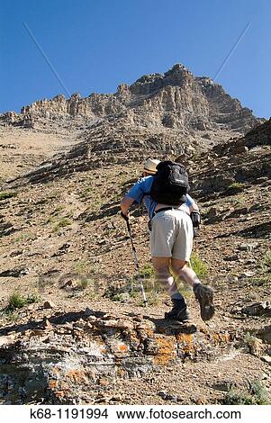 Picture - hiker on Mount Galwey, Waterton National Park, Alberta, Canada. Fotosearch