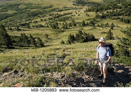 hiker on Mount Galwey, Waterton National Park, Alberta, Canada View Large Photo Image Stock Image - hiker on Mount Galwey, Waterton National Park, Alberta, Canada. Fotosearch