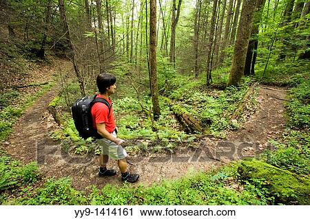 Hiker on North Slope Trail - Pisgah National Forest, near Brevard, North Carolina, USA View Large Photo Image Stock Image - Hiker on North Slope Trail - Pisgah National Forest, near Brevard, North Carolina, USA. Fotosearch