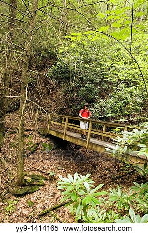 Hiker on North Slope Trail - Pisgah National Forest, near Brevard, North Carolina, USA View Large Photo Image Stock Photography - Hiker on North Slope Trail - Pisgah National Forest, near Brevard, North Carolina, USA. Fotosearch