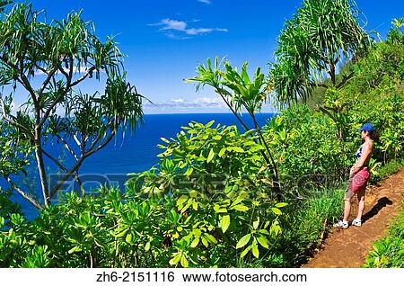Stock Photograph - Hiker on the lush Kalalau Trail on the Na Pali Coast, Island of Kauai, Hawaii USA.. Fotosearch