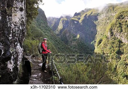 hiker on the path along the levada aqueduct of Green Cauldron Caldeirao Verde, Madeira island, Atlantic Ocean, Portugal View Large Photo Image Stock Image - hiker on the path along the levada aqueduct of Green Cauldron Caldeirao Verde, Madeira island, Atlantic Ocean, Portugal. Fotosearch