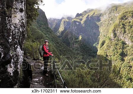 hiker on the path along the levada aqueduct of Green Cauldron Caldeirao Verde, Madeira island, Atlantic Ocean, Portugal View Large Photo Image Stock Image - hiker on the path along the levada aqueduct of Green Cauldron Caldeirao Verde, Madeira island, Atlantic Ocean, Portugal. Fotosearch