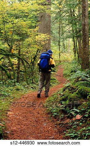 Hiker on Waukeena Loop. Columbia River Gorge. Oregon. USA. View Large Photo Image Stock Image - Hiker on Waukeena Loop. Columbia River Gorge. Oregon. USA.. Fotosearch