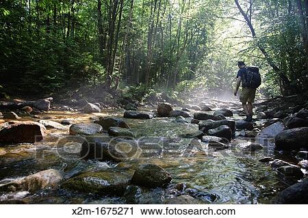Hiker standing on rock in morning fog along Cedar Brook during the summer months in the Pemigewasset Wilderness of Lincoln, New Hampshire USA View Large Photo Image Stock Image - Hiker standing on rock in morning fog along Cedar Brook during the summer months in the Pemigewasset Wilderness of Lincoln, New Hampshire USA. Fotosearch