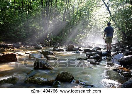 Stock Photograph - Hiker standing on rock in morning fog along Cedar Brook during the summer months in the Pemigewasset Wilderness of Lincoln, New Hampshire USA. Fotosearch
