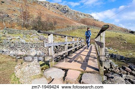 Picture - Hiker Walking across a wooden bridge at Stickle Ghyll.. Fotosearch