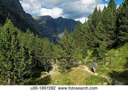 Hiker walking along Barrosa valley, a typical glacier valley of aragonese Pyrenees Huesca Spain View Large Photo Image Stock Image - Hiker walking along Barrosa valley, a typical glacier valley of aragonese Pyrenees Huesca Spain. Fotosearch