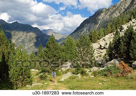 Hiker walking along Barrosa valley, a typical glacier valley of aragonese Pyrenees Huesca Spain View Large Photo Image Stock Image - Hiker walking along Barrosa valley, a typical glacier valley of aragonese Pyrenees Huesca Spain. Fotosearch
