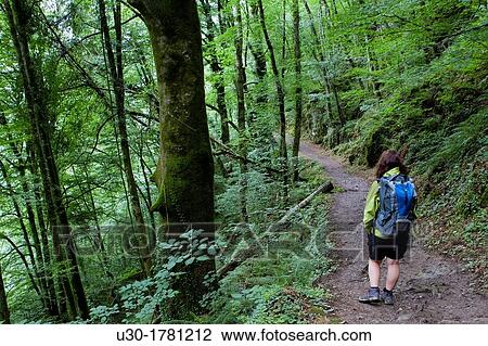 Hiker walking to Gorges d? Holzarte, near Larrau village, Atlantics Pyrenees, in Aquitaine region France View Large Photo Image Stock Image - Hiker walking to Gorges d? Holzarte, near Larrau village, Atlantics Pyrenees, in Aquitaine region France. Fotosearch