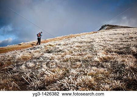 Hiker walks on Beacons Way towards Corn Du, Brecon Beacons national park, Wales View Large Photo Image Stock Image - Hiker walks on Beacons Way towards Corn Du, Brecon Beacons national park, Wales. Fotosearch