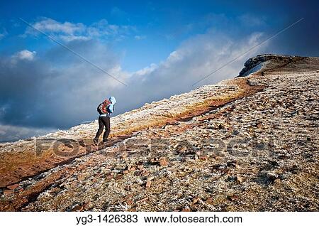 Stock Image - Hiker walks on Beacons Way towards Corn Du, Brecon Beacons national park, Wales. Fotosearch