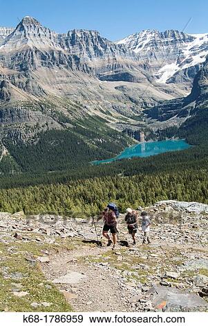 Stock Photo - Hikers near Lake O? Hara in Yoho National Park, British Columbia, Canada Lake O? Hara is one of the most popular hiking areas in the Canadian Rockies. Fotosearch