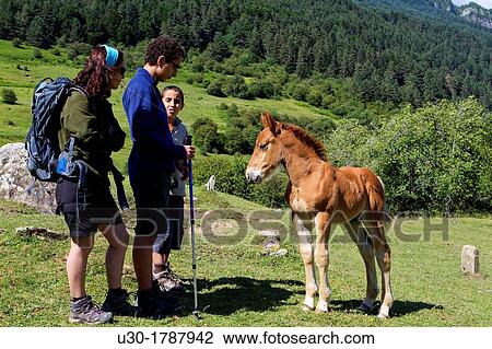 Stock Image - Hikers next to a little curious colt, in Rinc? n de Belagua Isaba Roncal Valley Navarra Spain Europe. Fotosearch
