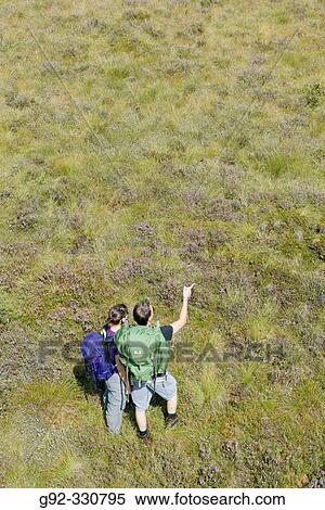 Hikers on marshlands. Sk? ne. Sweden View Large Photo Image Stock Photography - Hikers on marshlands. Sk? ne. Sweden. Fotosearch
