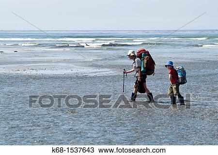 hikers on Nootka Island, BC, Canada View Large Photo Image Stock Image - hikers on Nootka Island, BC, Canada. Fotosearch