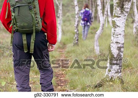 Hikers on path through forest. Sk? ne. Sweden View Large Photo Image Stock Image - Hikers on path through forest. Sk? ne. Sweden. Fotosearch