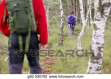 Hikers on path through forest. Sk? ne. Sweden View Large Photo Image Stock Image - Hikers on path through forest. Sk? ne. Sweden. Fotosearch