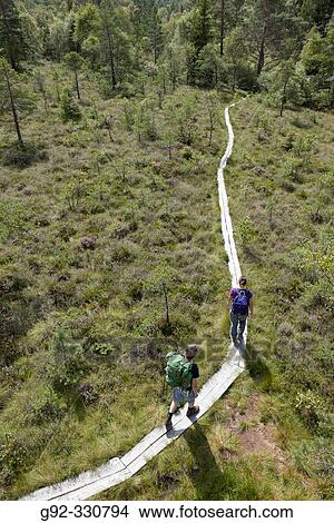 Hikers on trail over marshlands. Sk? ne. Sweden View Large Photo Image Picture - Hikers on trail over marshlands. Sk? ne. Sweden. Fotosearch