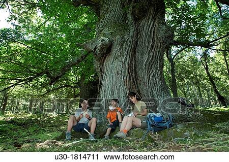 Hikers resting in the chestnut grove of El Tiemblo, in Iruelas Valley Natural Park? vila province Castilla y Le? n Spain View Large Photo Image Stock Image - Hikers resting in the chestnut grove of El Tiemblo, in Iruelas Valley Natural Park? vila province Castilla y Le? n Spain. Fotosearch