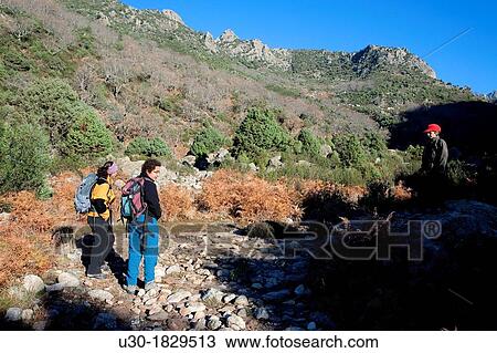 Hikers walking along Tejea Valley in Sierra de Gredos Regional Park Candeleda? vila province Castilla y Le? n Spain View Large Photo Image Stock Image - Hikers walking along Tejea Valley in Sierra de Gredos Regional Park Candeleda? vila province Castilla y Le? n Spain. Fotosearch