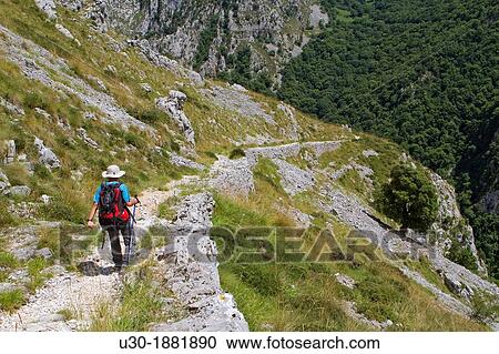 Hikers walking down from Tresviso, a small village in Picos de Europa National Park by historic Urd? n path to La Hermida Gorges Pearrubia Cantabria, Spain View Large Photo Image Stock Image - Hikers walking down from Tresviso, a small village in Picos de Europa National Park by historic Urd? n path to La Hermida Gorges Pearrubia Cantabria, Spain. Fotosearch