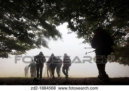 Hikers walking in misty forest path Montseny Natural Park Barcelona Catalonia Spain View Large Photo Image Stock Photo - Hikers walking in misty forest path Montseny Natural Park Barcelona Catalonia Spain. Fotosearch