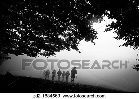 Hikers walking in misty forest path Montseny Natural Park Barcelona Catalonia Spain View Large Photo Image Stock Photo - Hikers walking in misty forest path Montseny Natural Park Barcelona Catalonia Spain. Fotosearch