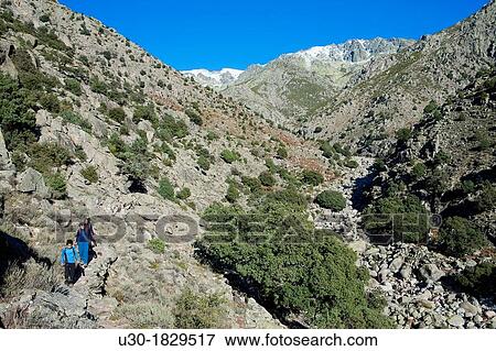 Hikers walking in Tejea Valley in Sierra de Gredos Regional Park Candeleda? vila province Castilla y Le? n Spain View Large Photo Image Stock Photo - Hikers walking in Tejea Valley in Sierra de Gredos Regional Park Candeleda? vila province Castilla y Le? n Spain. Fotosearch