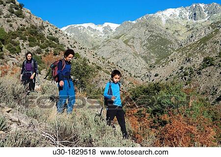 Hikers walking in Tejea Valley in Sierra de Gredos Regional Park Candeleda? vila province Castilla y Le? n Spain View Large Photo Image Stock Photo - Hikers walking in Tejea Valley in Sierra de Gredos Regional Park Candeleda? vila province Castilla y Le? n Spain. Fotosearch