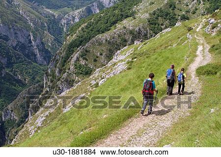 Picture - Hikers walking up to Tresviso, a small village in Picos de Europa National Park by historic Urd? n path from La Hermida Gorges Pearrubia Cantabria, Spain. Fotosearch