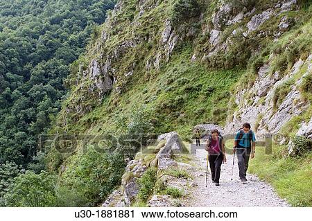 Hikers walking up to Tresviso, a small village in Picos de Europa National Park by historic Urd? n path from La Hermida Gorges Pearrubia Cantabria, Spain View Large Photo Image Stock Image - Hikers walking up to Tresviso, a small village in Picos de Europa National Park by historic Urd? n path from La Hermida Gorges Pearrubia Cantabria, Spain. Fotosearch