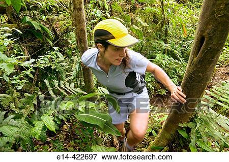 Hiking, Costa Rica, Vulcan Arenal, Cerro Chata trail View Large Photo Image Stock Photo - Hiking, Costa Rica, Vulcan Arenal, Cerro Chata trail. Fotosearch
