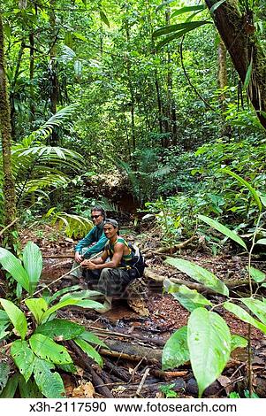 Stock Image - hiking in the forest, French Guiana, overseas department and region of France, Atlantic coast of South America.. Fotosearch