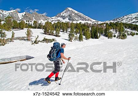 Hiking in to climb the Vertical Perceptions Couloir on the North Face of Cobb Peak in the Pioneer Mountians of central Idaho View Large Photo Image Stock Image - Hiking in to climb the Vertical Perceptions Couloir on the North Face of Cobb Peak in the Pioneer Mountians of central Idaho. Fotosearch